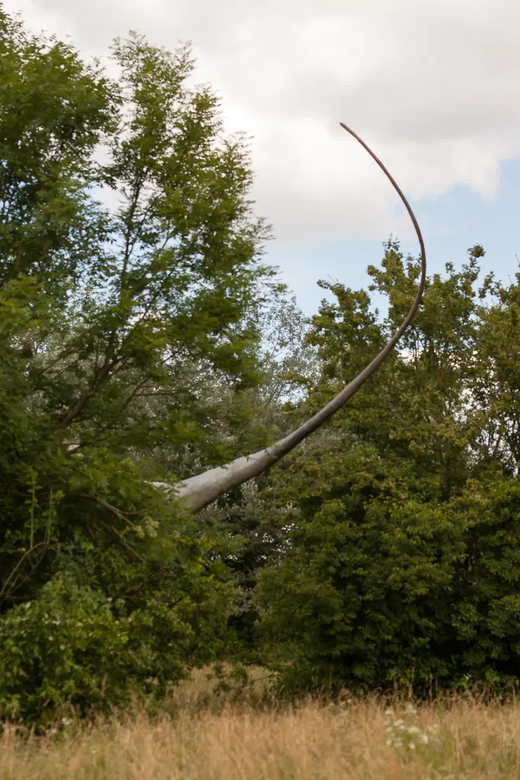 Schwanz eines Dinosauriers, Grün 80, Park im Grünen