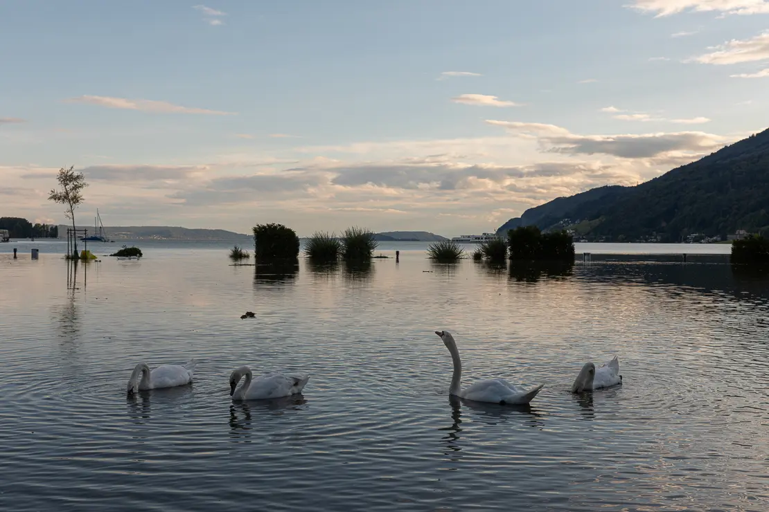 Die Flucht des Wassers; Strandboden Biel 2021