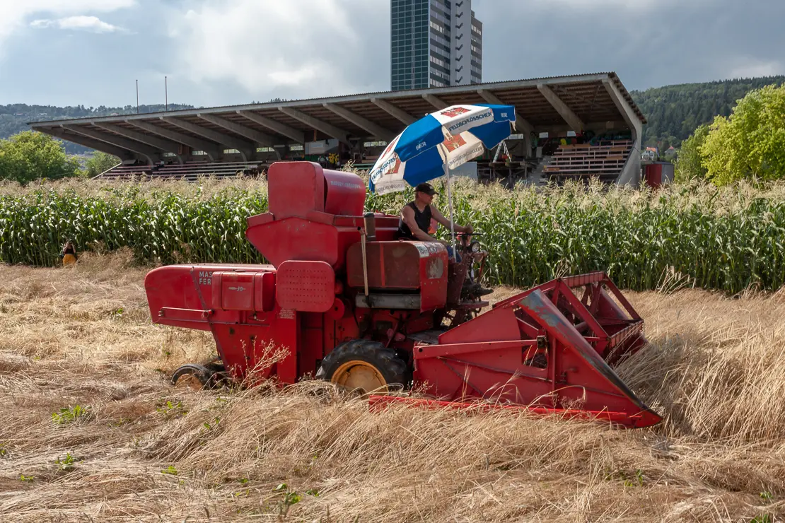 Old-Timer Mähdrescher im Stadion Gurzelen