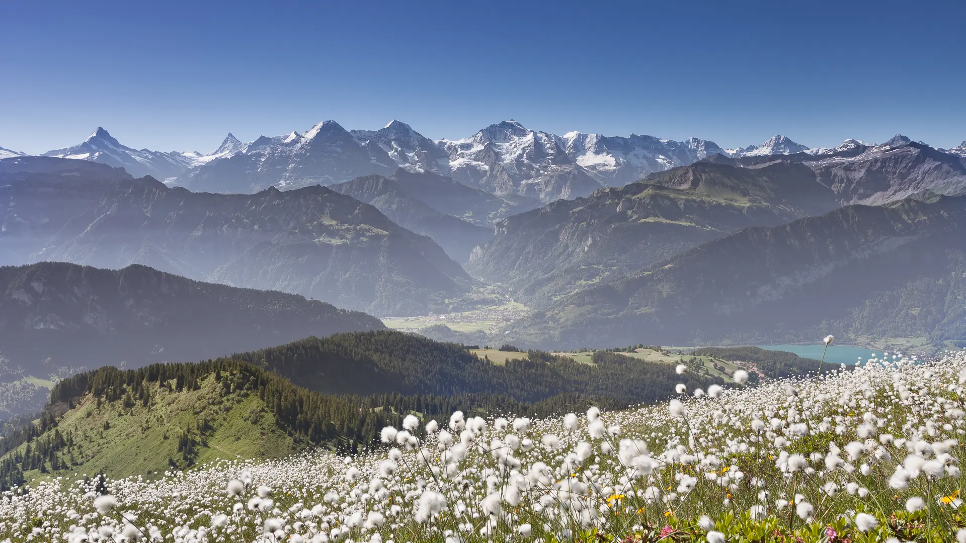 Berner Oberland