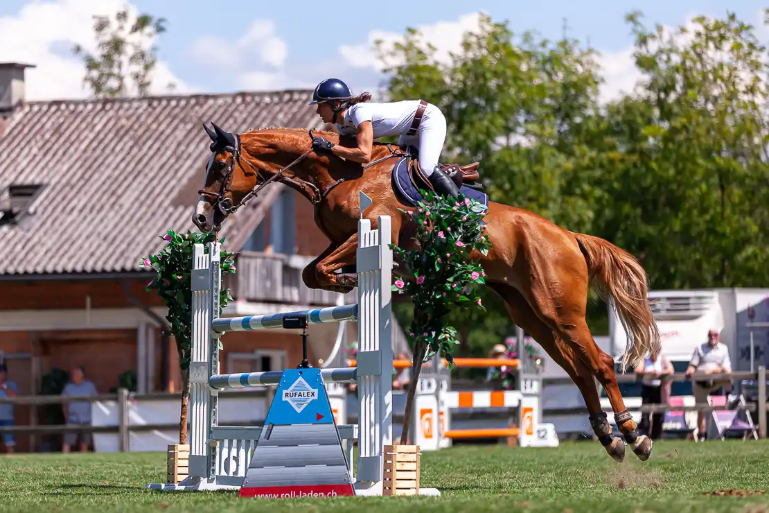 Nicole Krebs mit Carlucci am Concours Kappelen-Lyss 2018; Seeland Championat, Springreiten