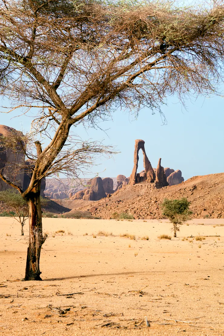 Felsbogen mit Baum, Tschad, Ennedi, Wüste